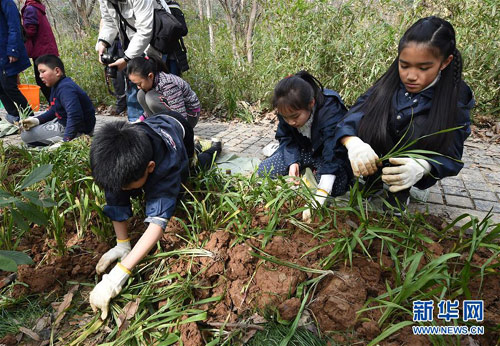 图片默认标题_fororder_zijin22