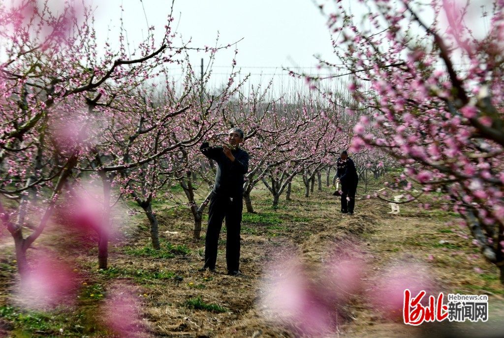 图片默认标题_fororder_hebnewsimg (4)