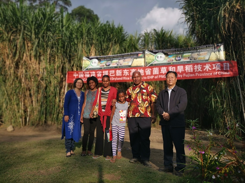 资讯有故事|“谢谢你们把菌草从中国带过来”