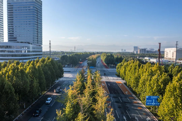 沣西新城:“信用+清单”改革助力项目高质量发展_fororder_图片7