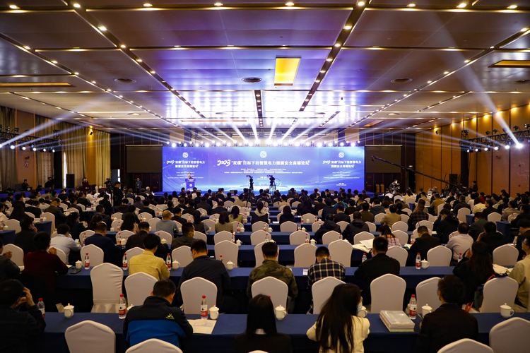 “双碳”目标下的智慧电力能源安全高端论坛在西安举行