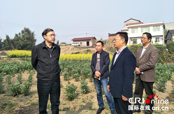 图片默认标题_fororder_调研-现场