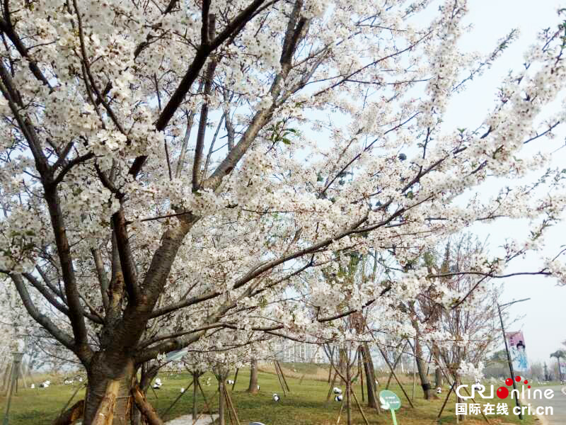 图片默认标题_fororder_微信图片_20180316123333