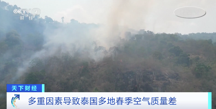 空气污染严重 泰国清迈发布“居家办公令”