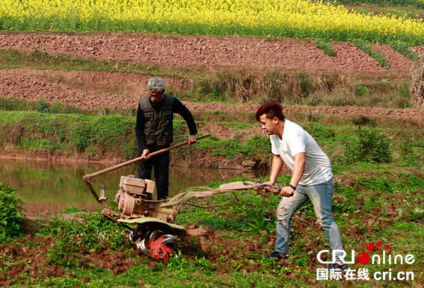 图片默认标题_fororder_回家过年忙春耕