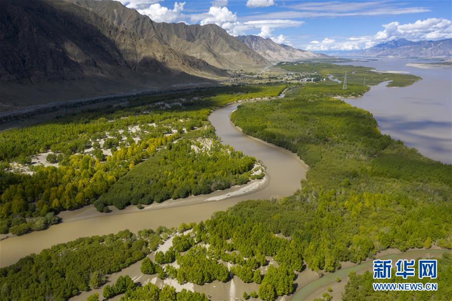 荒漠变绿洲 穷乡变富地——雅鲁藏布江山南段40年造林治沙报告