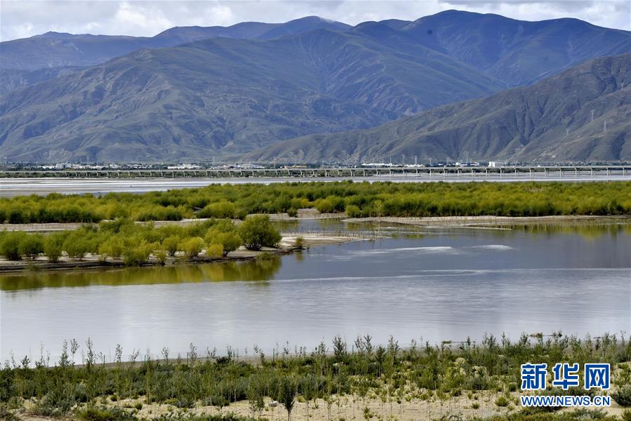 荒漠变绿洲 穷乡变富地——雅鲁藏布江山南段40年造林治沙报告