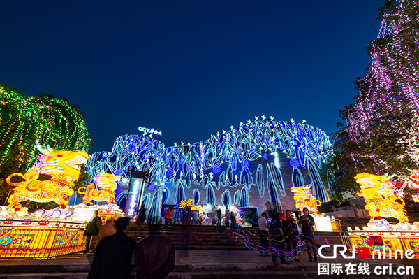 图片默认标题_fororder_夜幕中的彩灯博物馆（摄影-廖志全）