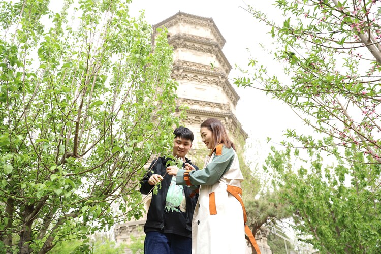 图片默认标题_fororder_4月12日,游客在绿树春花掩映的智度寺塔下游玩。熊华明摄
