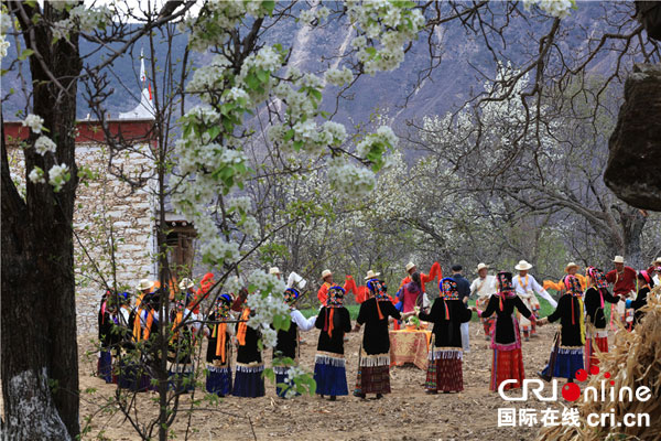 图片默认标题_fororder_热情-摄影-阿罗