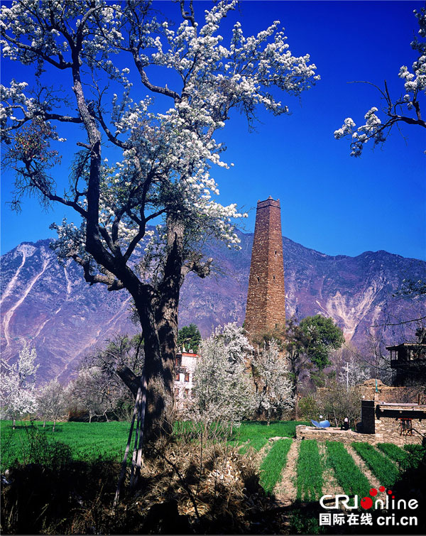 图片默认标题_fororder_春到碉乡