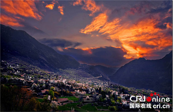 图片默认标题_fororder_中路春光-摄影-代奇源