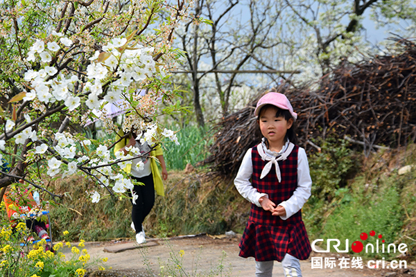 图片默认标题_fororder_赏花游客络绎不绝（摄影：葛旺）