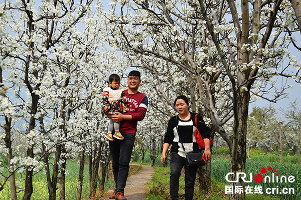 图片默认标题_fororder_游客漫步田园-一家人其乐融融（摄影：葛旺）