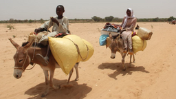 苏丹深陷人道主义困境  外溢风险已经显现