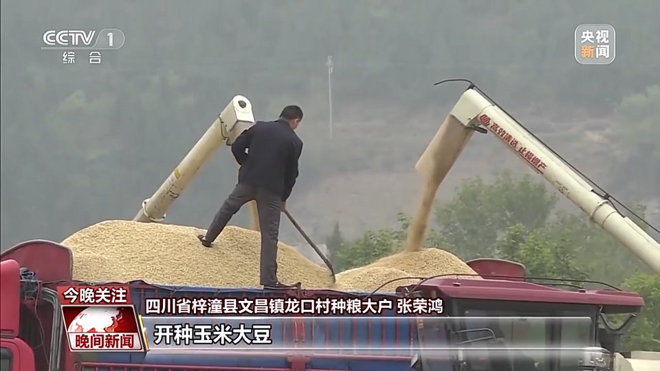 科技改变农业!当传统小麦遇上现代机械化收割……