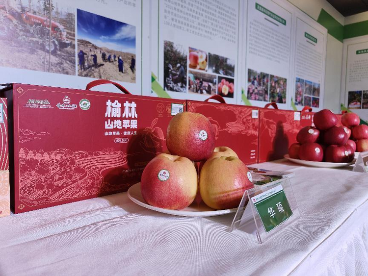 榆林山地苹果区域公用品牌战略发布会在京举行_fororder_图片3