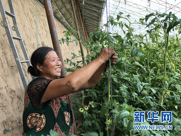 「新华网」【边疆党旗红】联合党委促发展 内蒙古首个“摘帽”国