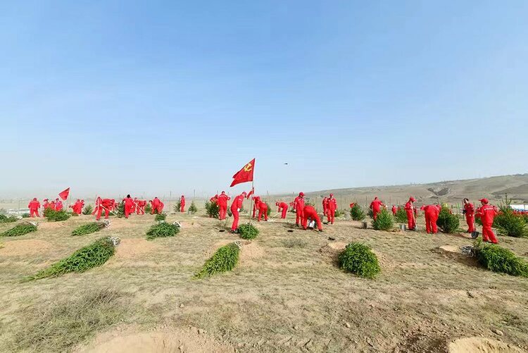 厚植绿色家底——长庆油田采油五厂再添新绿助力“碳中和”_fororder_微信图片_20230417173024