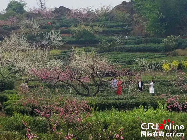 图片默认标题_fororder_普兴桃花1（峨眉山市委宣传部--供图）