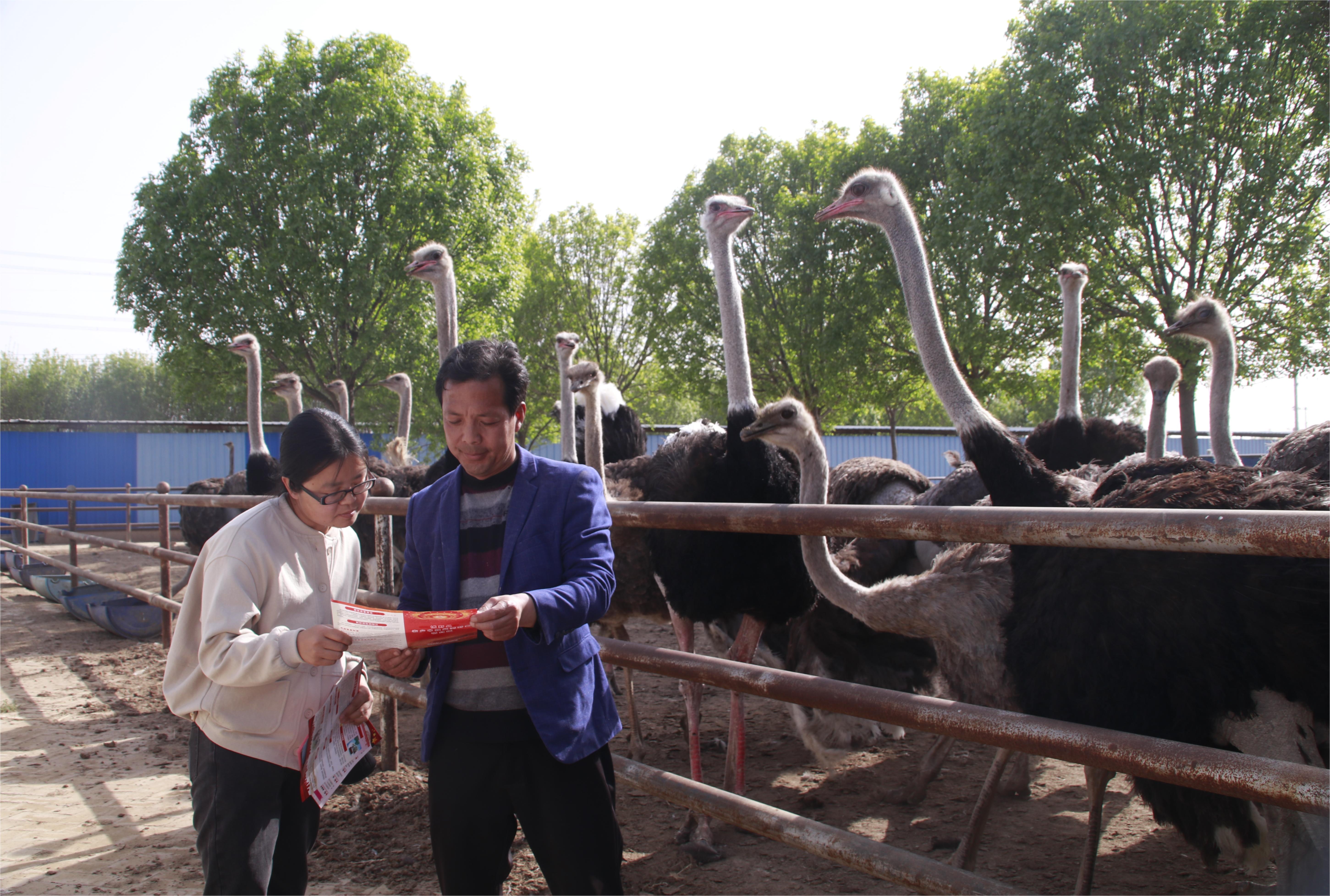 图片默认标题_fororder_1