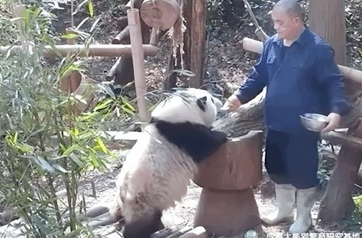 (转载)共赴大运之约 | “花花”喊你果赖!