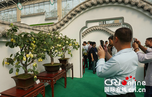 【河南原创】第十九届中国·中原花木交易博览会在许昌鄢陵开幕