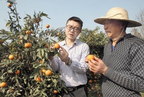 男子放弃15万年薪回大山深处当村官 为家乡发展而愁