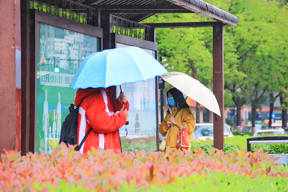 开封:雨中景色美