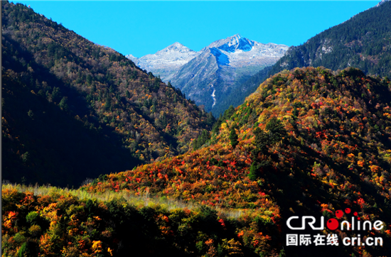 图片默认标题_fororder_3、孟屯河谷彩林-谢晓庆