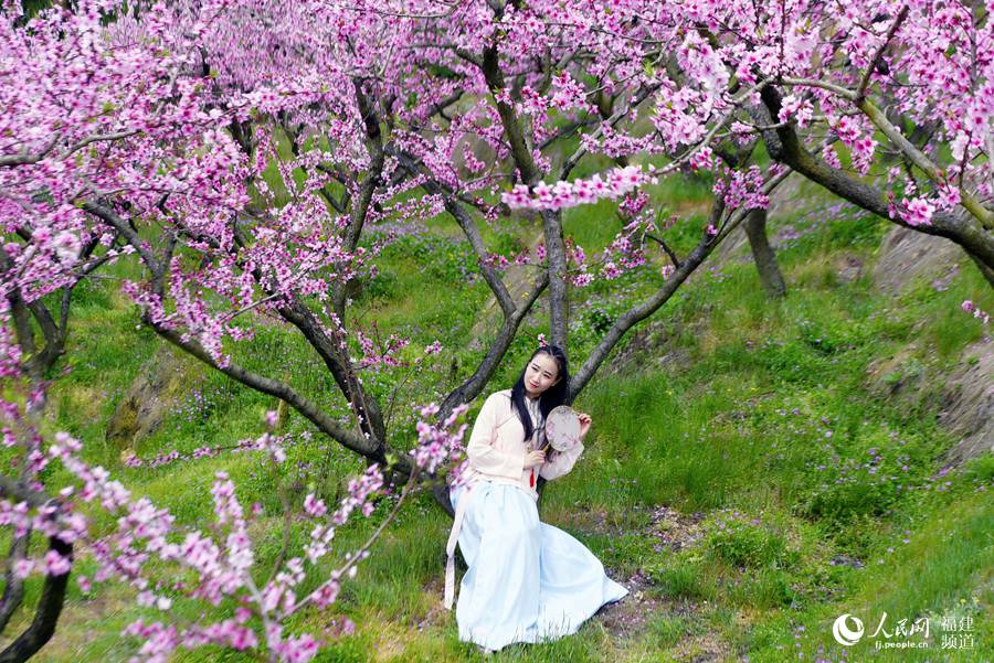 古装美人在桃花树下赏花  余杉芳摄