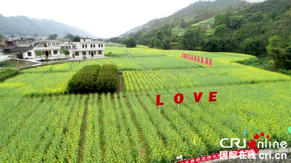 图片默认标题_fororder_千亩油菜花（拍摄-陈静）