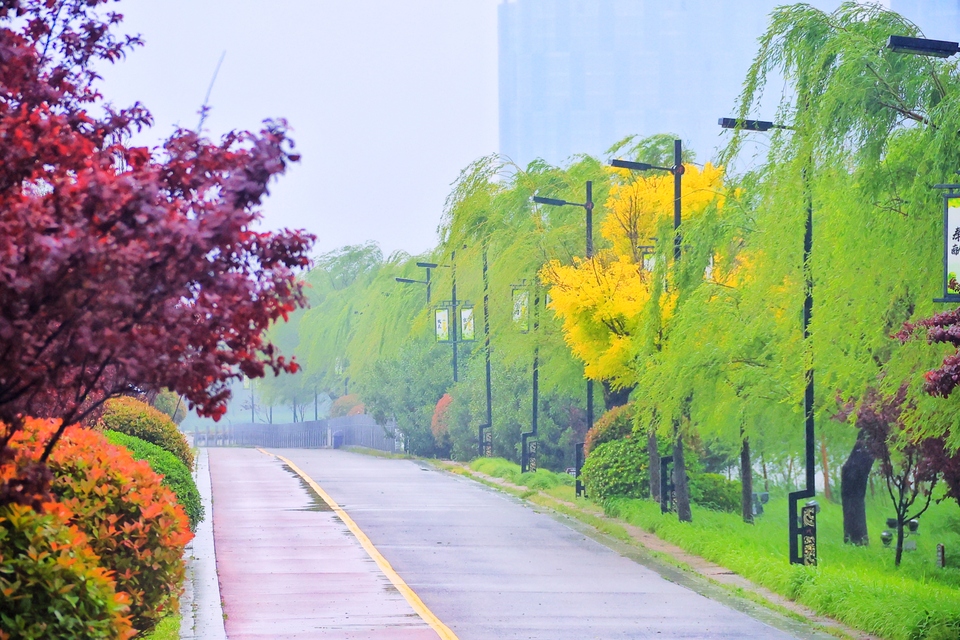 开封:雨中景色美
