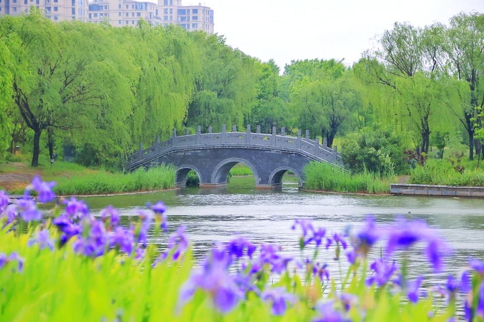 开封:雨中景色美