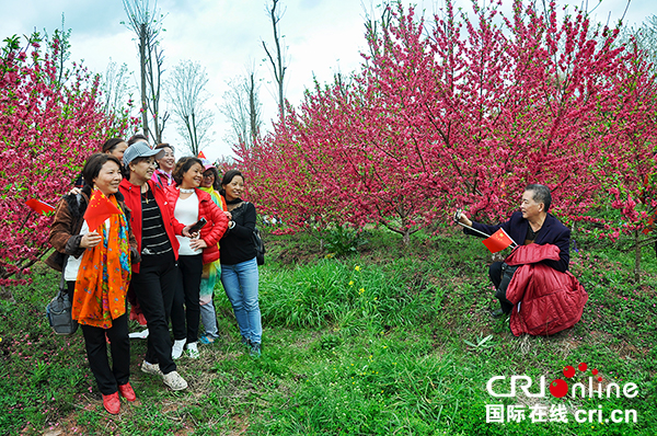 图片默认标题_fororder_游客在桃花下留影（摄影-冯常英）