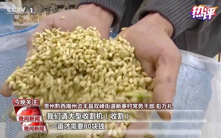 热评丨风吹麦浪时 从“增”“减”中看夏收