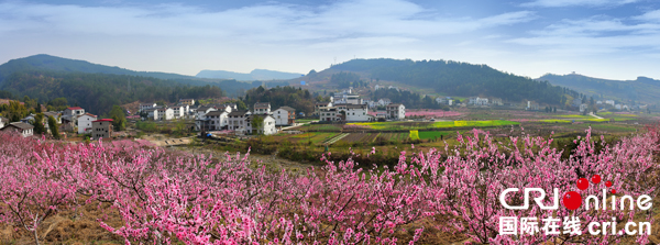 图片默认标题_fororder_利州大石五一桃花，摄影左长周-(10)