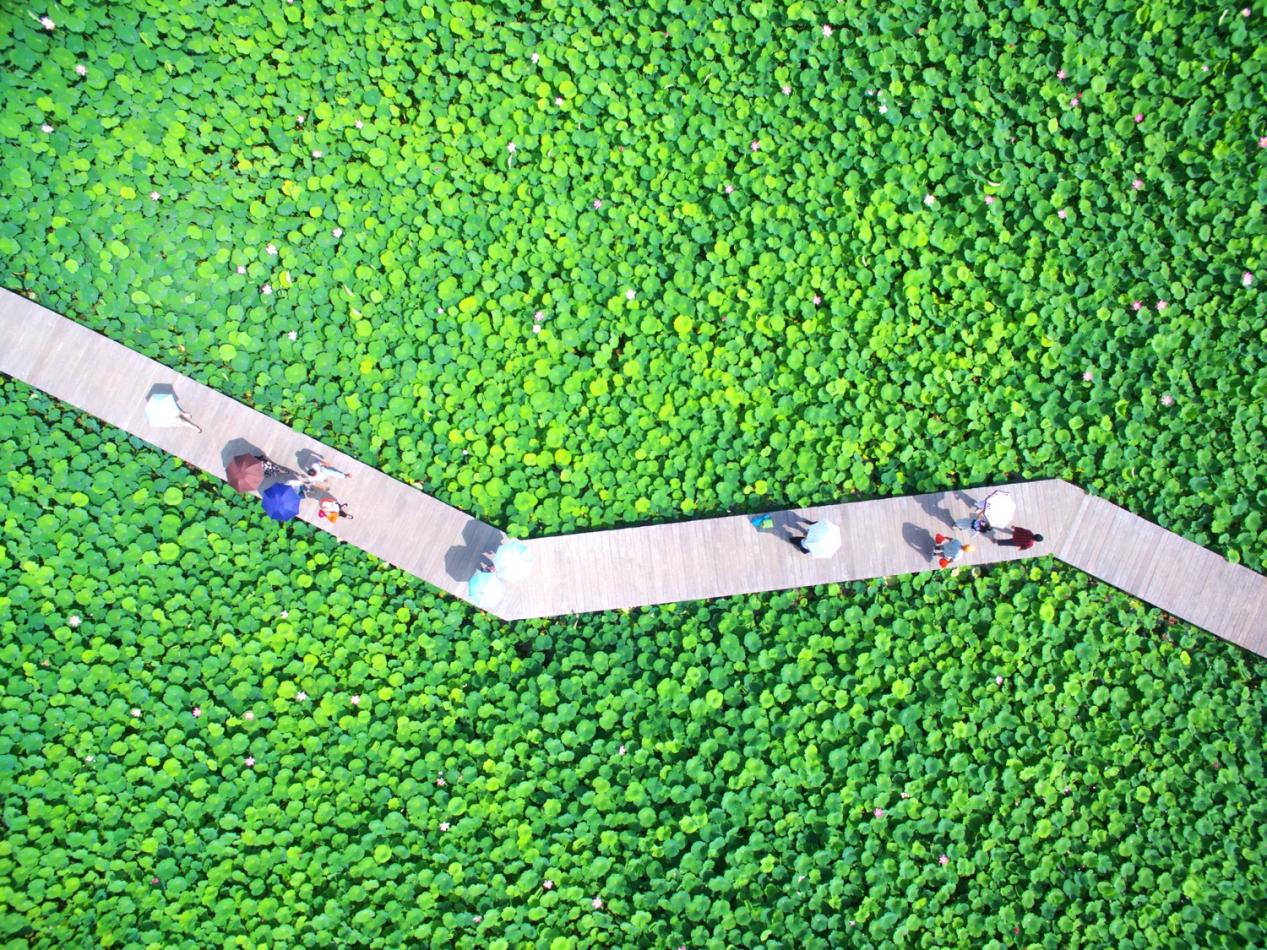 【汽车频道 资讯】中国•溧阳首届长三角房车嘉年华即将启幕