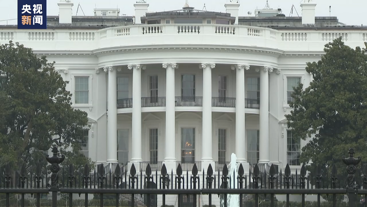 联合国安理会举行高级别公开辩论 俄方:少数西方国家无权代表全人类说话