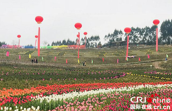 图片默认标题_fororder_广安市邻水县城南镇芭蕉村“同乐花海”观光园一角