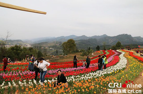 图片默认标题_fororder_园区内百花争艳，姹紫嫣红
