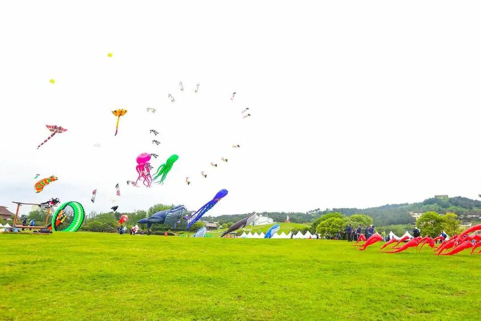 全国运动风筝锦标赛在武汉黄陂开赛