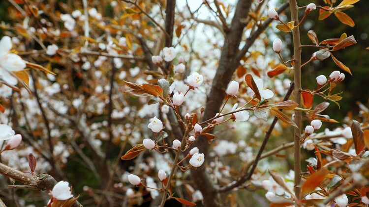东北财经大学:细化录取规则 为维护考生权益提供政策保障 新增数字经济、人工智能2个普通本科专业 东北财经大学:细化录取规则 为维护考生权益提供政策保障 新增数字经济、人工智能2个普通本科专业_fororder_4
