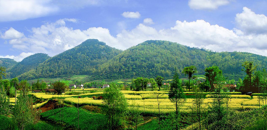 三国の聖地で菜の花に魅了＝陝西省勉県