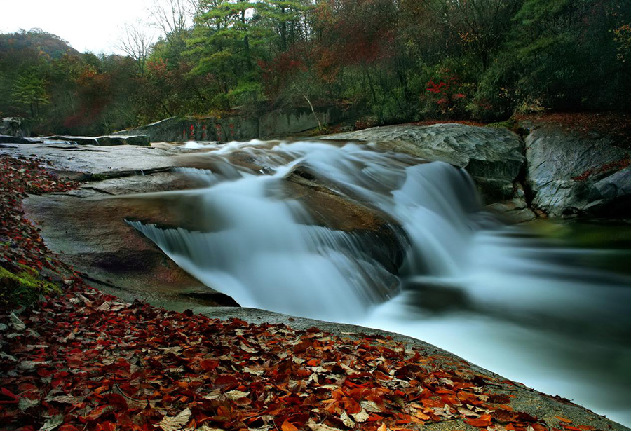 三国の聖地で菜の花に魅了＝陝西省勉県