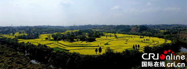 图片默认标题_fororder_4