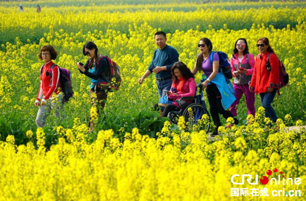 图片默认标题_fororder_3