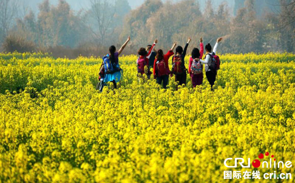 图片默认标题_fororder_1