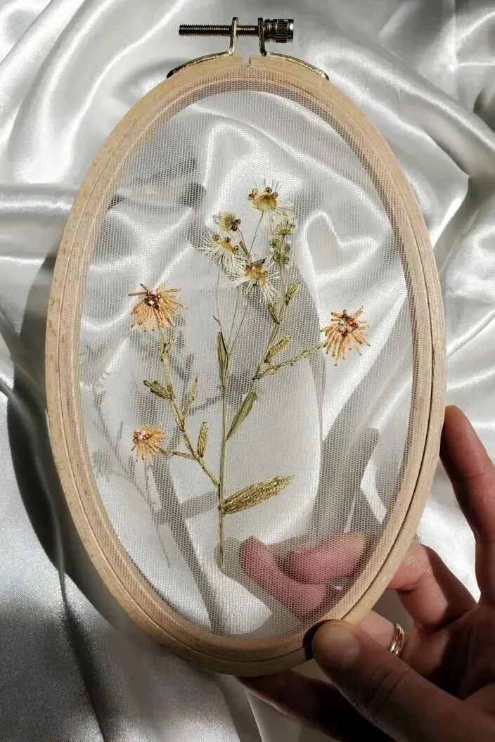 球拍、苔藓、蝴蝶,这些都是新的刺绣载体 球拍、苔藓、蝴蝶,这些都是新的刺绣载体