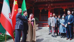 外媒点赞新时代中国特色大国外交实践：为中东地区和平稳定贡献力量